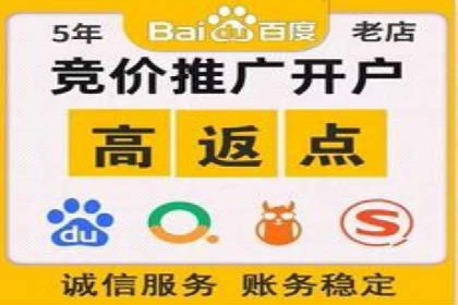 搜索引擎优化（SEO）在百度上的应用案例研究